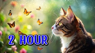 😺CAT GAMES l Cats vsButterfly 2 Hour of Engaging Screen FunVideos for Cats to Watch [upl. by Leiram]