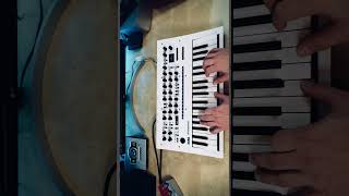 Korg Minilogue XD sounds korg synth shorts [upl. by Simonette]