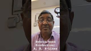 Male Sterility Hybrid Seed Production Using 3Line system A B RLines [upl. by Alejna]