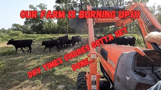 Dry Times at Gilliam Farms Our Unfortunate Reality  kubota  tractor  hay feeding  drought [upl. by Sone]