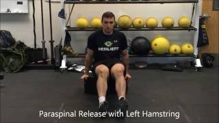 Resilient Performance PT  Paraspinal Release with Left Hamstring [upl. by Jecon]