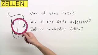 ZELLEN  DIE GRUNDBAUSTEINE VON PFLANZE MENSCH UND TIER  Biologie  Biologie der Zellen [upl. by Voltz23]