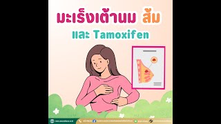 มะเร็งเต้านม ส้ม และTamoxifen [upl. by Verda]