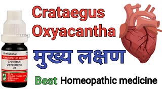 Crataegus Oxyacantha q 1x mother tincture homeopathic medicine benifits amp Uses in hindi [upl. by Adal448]