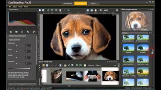 Corel Paintshop Pro X7 X8 X9 2018 2019 2020 2021 2022 2023 Spolszczenie [upl. by Gundry775]