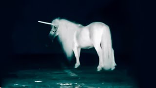 Top 10 Mythical Creatures Caught On Camera [upl. by Atirys]