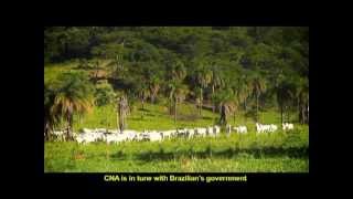 Agricultura de Baixo Carbono Caminhos do desenvolvimento sustentável [upl. by Anigue]