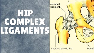 Ligaments of hip complex  With applied aspects [upl. by Cross131]