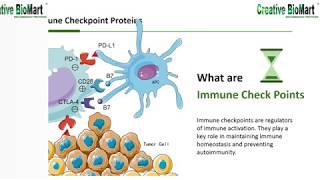 Immune Checkpoint Proteins [upl. by Perretta744]