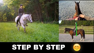 HOW TO RIDE A HORSE FOR BEGINNERS STEP BY STEP 🐎 [upl. by Ydnab384]