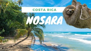 Nosara Costa Rica [upl. by Sheffie]