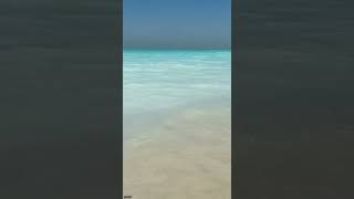 Saadiyat Beach Abu Dhabi  A Paradise of White Sands and Turquoise Waters [upl. by Westley779]