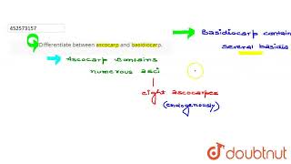 Differentiate between ascocarp and basidiocarp  CLASS 11  BIOLOGICAL CLASSIFICATION  BIOLOG [upl. by Phil]