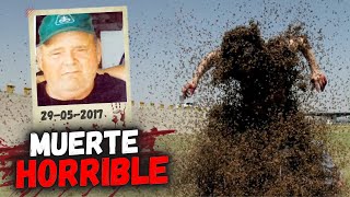 Las 40000 Abejas Asesinas No Tuvieron Piedad Del Granjero Larry Goodwin [upl. by Olette43]