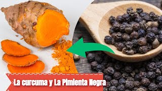 Por Que Tenemos Que Combinar La curcuma y La Pimienta Negra  Beneficios De Curcuma  Pimienta negra [upl. by Bandler]