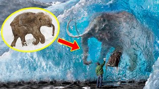 5 FROZEN MAMMOTHS You Wont Believe Were Found ❄️ [upl. by Llehsal]