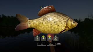 Russian Fishing 4 Mosquito Lake Ruffe 3x trophy [upl. by Terryn557]