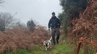 Allt yr Esgair Circular Walk [upl. by Nodnal180]