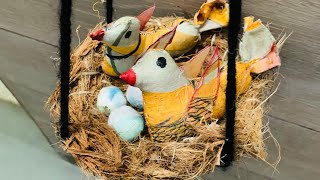 Diy Birds Nest Making ideas  Diy Birds House  Home decorating home artandcraft diycraftideas [upl. by Natrav515]