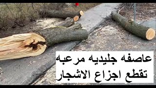 عاصفه جليديه غريبه تقطع جذوع الاشجار [upl. by Swetiana]