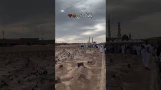 Ya zahra ya zahra noha WhatsApp Status nadeem sarwar [upl. by Annoyt]