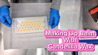 Making Lip Balm With Candelilla Wax [upl. by Goda]