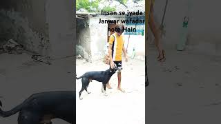 kaise bulaunga Ehsaan Tera sad song viral video 🙏🙏👍👍 [upl. by Thursby270]