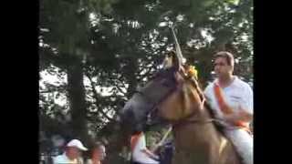 Belgian Draft Horses and Dutch Draft Horses  ringsteken in Middelburg [upl. by Maletta]