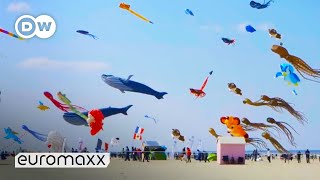 Biggest Kite Festival in Europe  Up in the Air in BercksurMer France [upl. by Ttevi553]