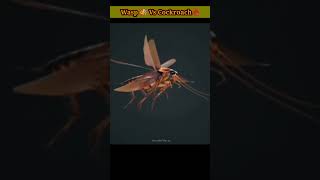 Wasp attacked on cockroach shorts [upl. by Lizzy]