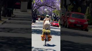 CYCLING INTO THE SPRING cycling cycle bike bikelife roadbike roadcycling [upl. by Narod]