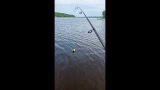 Fun time in Buckham’s Bay Ottawa River [upl. by Hackett247]