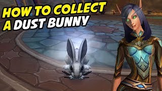 Dust Bunny  All Dusty Rug Locations [upl. by Innes527]