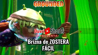 BRIZNA ZOSTERA FÁCIL  GROUNDED 10 2022 ESPAÑOL SHORTS [upl. by Massey634]