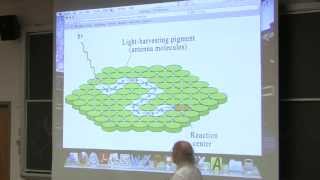 34 Biochemistry Lecture Photosynthesis from Kevin Aherns BB 350 [upl. by Uile235]