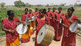 The Sargam Mahila Band Ten Dalit women from Bihar use percussion as protest [upl. by Borszcz]