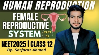 Female reproductive System Human reproduction Detailed explanation by Sarfaraz Ahmad [upl. by Incrocci]