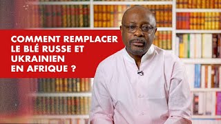 La Chronique  Comment remplacer le blé russe et ukrainien en Afrique [upl. by Wende118]