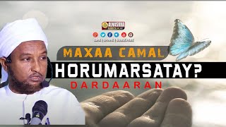 DARDAARAN  MAXAA CAMAL AAD HORUMARSATAY  ⁴ᴷ┇ Sh Xuseen Ali Jabuuti [upl. by Rudelson]