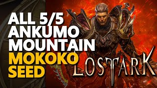 Ankumo Mountain Mokoko Seed Lost Ark All 55 [upl. by Llenehc]