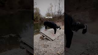 Motivation video Motivacioni video fitness motivation training gym pushups [upl. by Reffinnej442]