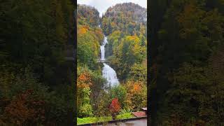 Magical autumn view in Switzerland radolfzell schilthorn zugersee schwarzsee greifensee lakelu [upl. by Aikmat]