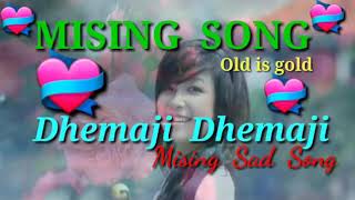 Dhemaji Dhemaji Singer Rajbir pegu  new MiSiNg SoNg 20202021 [upl. by Schlicher]