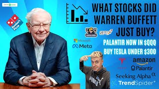 Warren Buffett Buys  Palantir added to QQQ  TSLA buy under 300 NVDA earnings BUY THE DIP SPY [upl. by Riess]