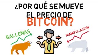 Por qué el bitcoin sube y baja de precio 🤷🏻‍♂️ [upl. by Leachim881]