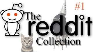 The Reddit Collection 1  Kevin amp Wednesday The Cat [upl. by Agna]