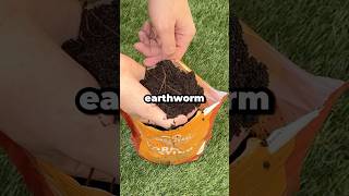 Why Use Earthworm Castings for Your Garden shorts [upl. by Akkire]