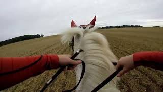 Thurlow Hunt Ride 2024  Claudia and Pea [upl. by Roselia]