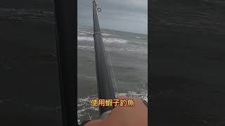 大家注意看 這男人太狠了釣魚山狗大shorts午仔遠投沉底 fishing [upl. by Airitac]