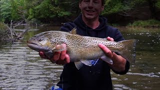 CLEAR Water Fly Fishing for HUGE Salmon and Trout [upl. by Lenrad982]